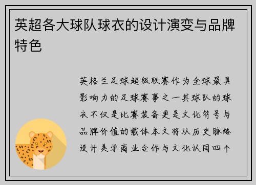 英超各大球队球衣的设计演变与品牌特色